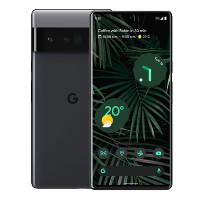 Google Pixel 6 Pro